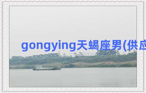 gongying天蝎座男(供应链金融)