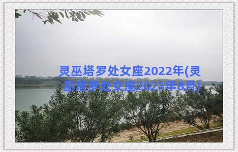 灵巫塔罗处女座2022年(灵巫塔罗处女座2021年8月)