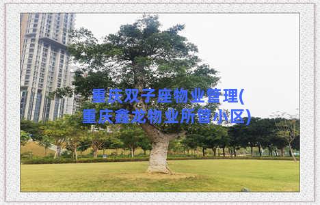 重庆双子座物业管理(重庆鑫龙物业所管小区)