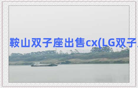 鞍山双子座出售cx(LG双子座将出售)